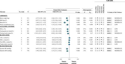 Meal Replacements for Weight-Related Complications in Type 2 Diabetes: What Is the State of the Evidence?